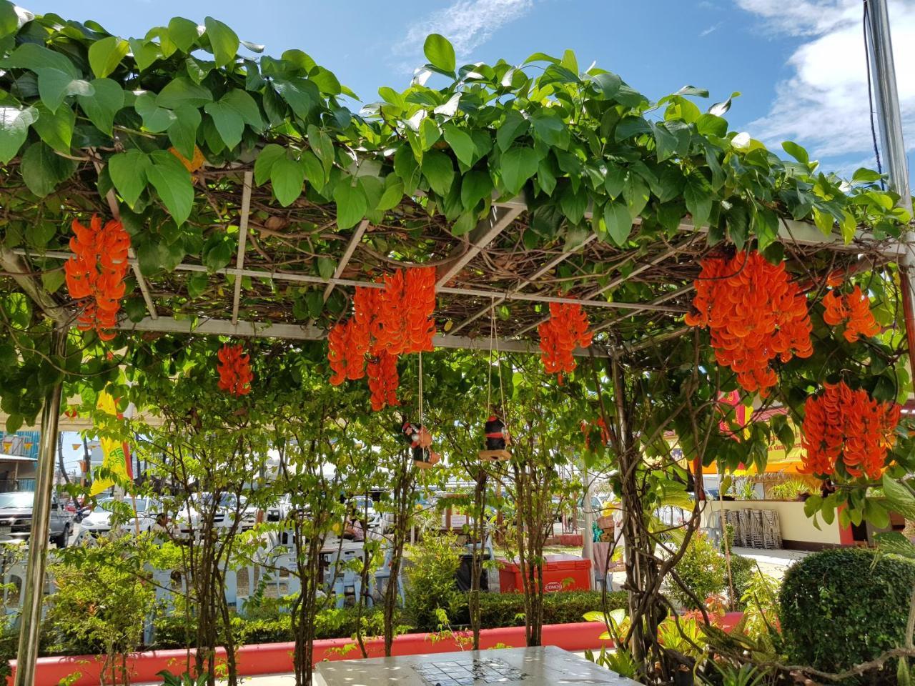 The Blueco Hotel Sha Plus Bãi biển Kata Ngoại thất bức ảnh